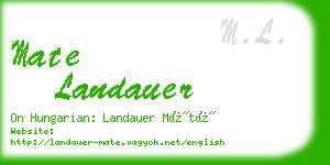 mate landauer business card